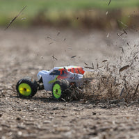 LOS01015T3 1/18 Mini-T 2.0 2WD Stadium Truck Brushed RTR, Gray/White