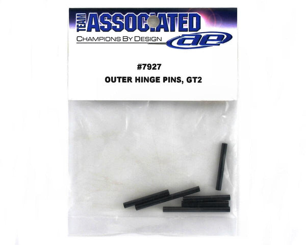 Team Associated Outer Hinge Pins, GT2